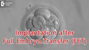 after fet does implantation occur
