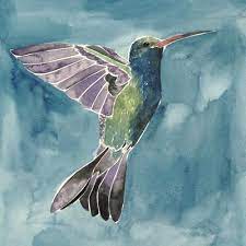Hummingbirds Wall Art Prints