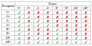 The Lime The Coconut Goal 5 Find Out My Blood Type