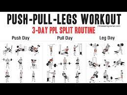 push pull legs ppl workout routine