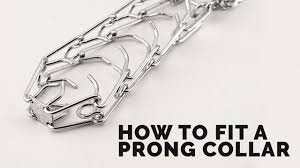 How To Fit A Prong Collar