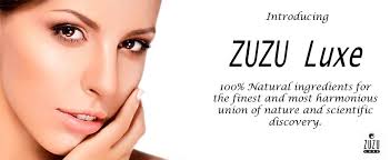 wilmington nc include zuzu luxe makeup
