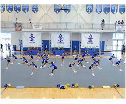 cheerleading mats by dollamur