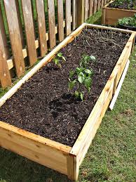 Garden Beds What To Use Weatherwise