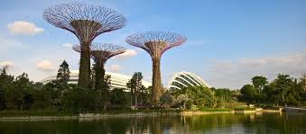 Stephen drucker finds out why maryland's eastern shore is the perfect fall destination crab cakes and lighthous. Gardens By The Bay In Singapur Willkommen In Der Welt Von Avatar