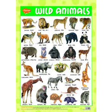 3d Plastic Embossed Picture Charts Wild Animals Manoj