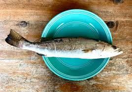 speckled trout recipes a 12 gauge