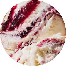 mountain huckleberry ice cream tillamook