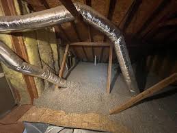 clean up an attic infestation