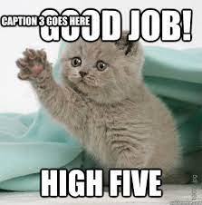 Check out more awesome business cat memes or make your own. Good Job High Five Caption 3 Goes Here Cute Cat Memes Funny Cat Memes Funny Animals