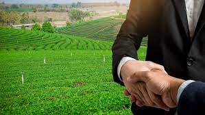 انطلاق بالميرا للاستثمار الزراعي.. أسهل استثمار زراعي في مصر - بالميرا للاستثمار الزراعي