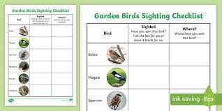 Bird Identification Worksheets