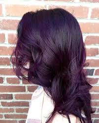 Dark purple hair color idea for brunettes. How To Dye My Hair Purple Without Bleach Quora