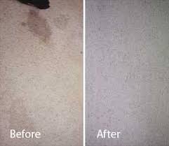 remove cat dog urine from carpet