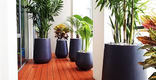 Garden Plant Pots In Bangkok Order