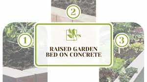 Raised Garden Bed On Concrete How To