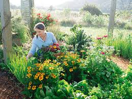 3 Ways To Create Enriched Garden Beds