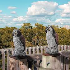 Bird Owl To Frighten Birds Owl Statue