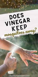 does vinegar keep mosquitoes away
