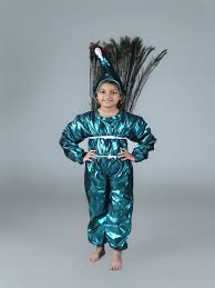 kids fancy dress costume