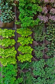 A Vertical Herb Garden On An Urban