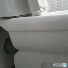 Help With Weird Toilet Seat Removal