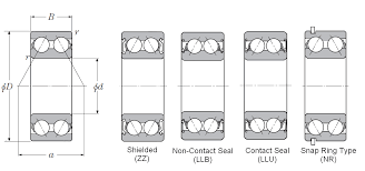 Double Row Angular Contact Ball Bearings