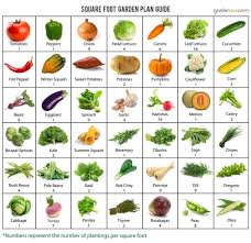 Pin By Mary And Ed Curry On Gardening Verticle Vegetable