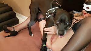 Cachorro Comendo Mulher Gostosa 