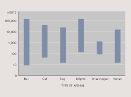 Frequency Range Of Dog Hearing The Physics Factbook