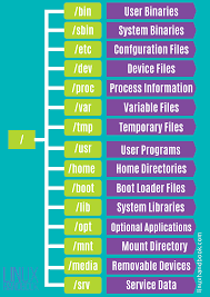 linux directory structure explained for