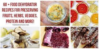 Dehydrator Recipes For Preserving Food