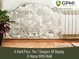 the 7 dangers of ing a house with mold