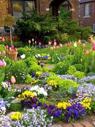 Backyard Flowers Garden