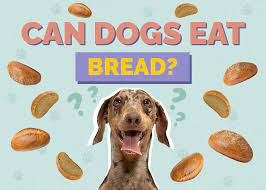 can dogs eat bread is bread safe for