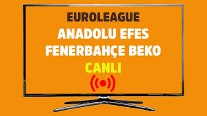 CANLI İZLE Anadolu Efes Fenerbahçe canlı maç izle - Tv100 Spor
