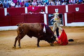 Roca Rey, Emilio de Justo y Antonio Ferreras en la corrida de toros en  Alcazar - La Tribuna de Ciudad Real
