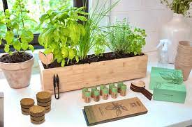 Fleur Du Bien Indoor Herb Garden Kit Planter 10 Herb Seed Packs Window Gardening Set Plant Marker Biodegradable Growing Pots Soil Disc