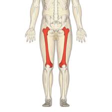 hip flexor pain and pain in the front