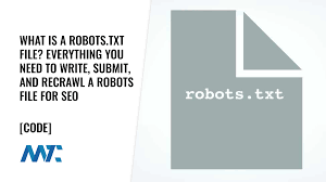 what is a robots txt file everything