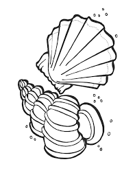 Of different shapes, sizes and colors are sea shells. Two Seashells Coloring Page Free Printable Coloring Pages For Kids