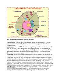 Where is the nucleus found? The Following Is A Glossary Of Animal Cell Terms Cell Membrane
