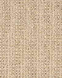 shaw carpet sheer delight z6840