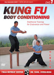 kung fu body conditioning 1