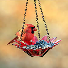 hanging glass bird feeder uncommon