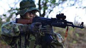 Hra na vojáky s replikami zbraní: chataři se kvůli airsoftu obávají o  bezpečnost - Blanenský deník