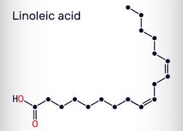 linoleic acid la molecule omega 6