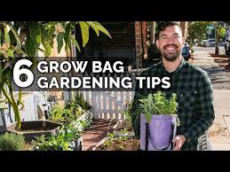 6 Secret Grow Bag Techniques To
