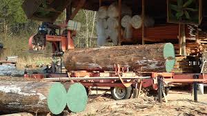wood mizer portable sawmill wood