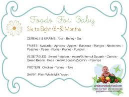 introducing solids to your 6 month to 8